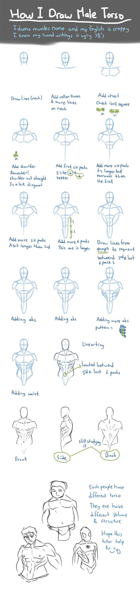 An art lesson on studying & drawing anatomy. How I Draw Male Torso by nursury0 on DeviantArt | Guy ...