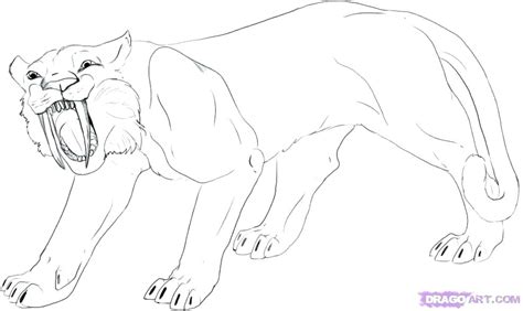 Brush your teeth twice a day, everyday! Saber Tooth Tiger Coloring Page at GetColorings.com | Free ...