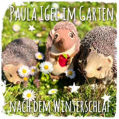 Wenn sich nachweislich igel im garten tummeln, bereitet deren gegenwart unerfahrenen gärtnern. Paula Igel Im Garten Nach Dem Winterschlaf ♥ (Fotostory)