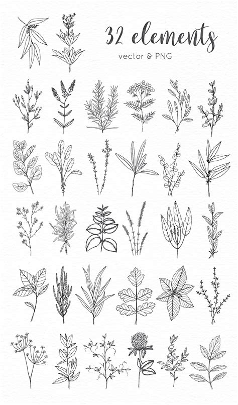 Flower, nature, floral, floral background, floral pattern. Herbs: hand-drawn collection | Flower sketches, Floral ...