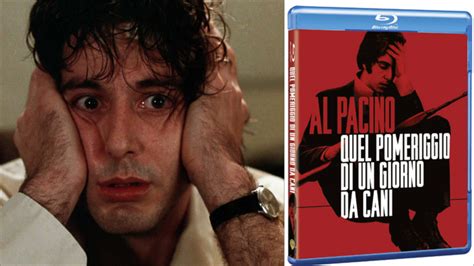 Film su rapine in banca sono molto popolari tra gli appassionati di film.ma questo non è sorprendente, perché hanno. Quel pomeriggio di un giorno da cani, 40 anni di un ...