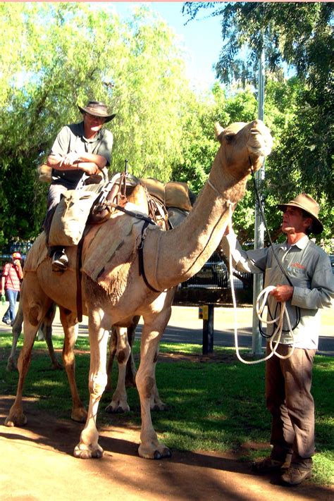 Explore alice springs holidays and discover the best time and places to visit. » Frontier Services CelebrationsUniting Church in ...