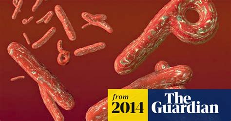 The telegraph, 01 июня 2020. Ebola virus causes outbreak of infectious dance tune ...