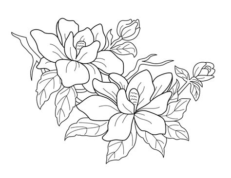 Check out our hawthorn flower svg selection for the very best in unique or custom, handmade pieces from our shops. Hawthorn Flower Drawing at GetDrawings | Free download