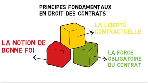 LA LIBERTÉ CONTRACTUELLE | DROIT DES CONTRATS