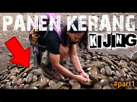 Resep masakan penambah gairah seksual berikut ini sangat mudah dibuat di rumah, anda bisa menyajikannya agar aktifitas di ranjang makin menggairahkan. Gambar Dan Resep Kue Kering Natal - Bisabo Channel 2020