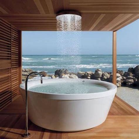 9+ shower & tub idea photos. Rain shower head & free standing tub with an awesome view ...