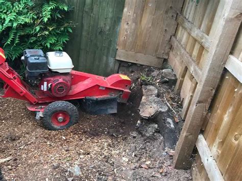 Whether you're planning a wedding, cocktail party, or reception, serve up the. Stump Grinding Exeter, Devon | S. Campbell Landscaping ...