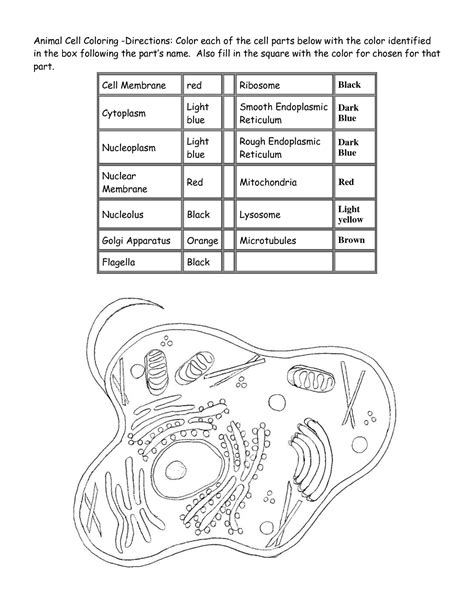 Biologycorner com plant cell coloring. Animal Cell Coloring Key | K5 Worksheets