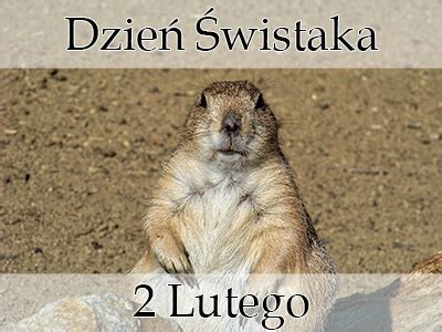 This is ciosowa dzień świstaka trad by krzysztof b on vimeo, the home for high quality videos and the people who love them. Dzień Świstaka - Kalendarz Świąt Nietypowych