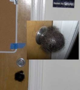 Have fun with this simple prank. Bedrooms Pranks Are Quite Possibly The Best Pranks