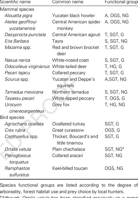 Animal profiles a to z: Latin and English names of large-bodied mammal (4600 g) and bird... | Download Table