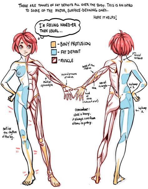 Female bodies anatomy reference drawing reference. Épinglé sur Anatomy