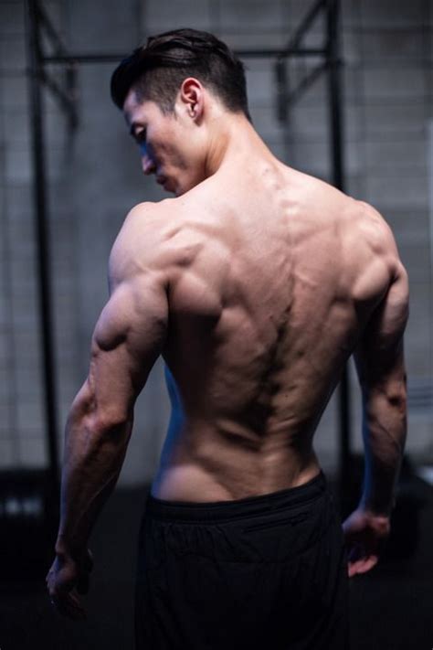 Labeled anatomy chart of male back muscles on white. muscles / dos / debout / homme(이미지 포함) | 사진 참조, 보디빌딩, 근육