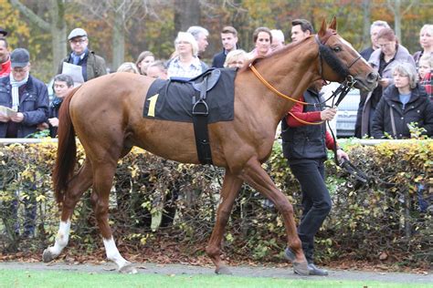 Maybe you would like to learn more about one of these? Ohne bessere Szenen - Deutscher Galopp