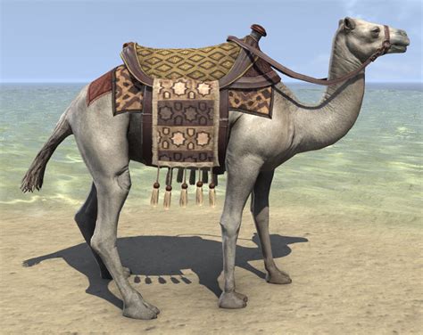 Camel support accessing the length field of java arrays. ESO Fashion | Zeht's Cloud Camel (Elder Scrolls Online)