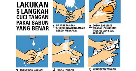 Tempat penampung air bersih dan 20 buah poster 6 langkah cuci tangan. Lima (5) Langkah Cuci Tangan Pakai Sabun Yang Benar by ...