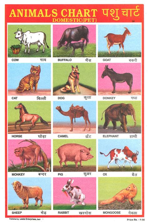 The scientific name and conservation status are provided for each of the individual species. Indian 'Animals Chart' Poster | Indian animals, Pet cows ...