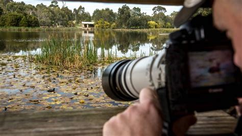 Looking for conferences events in traralgon? Traralgon Railway Reservoir Conservation Reserve - Visit ...