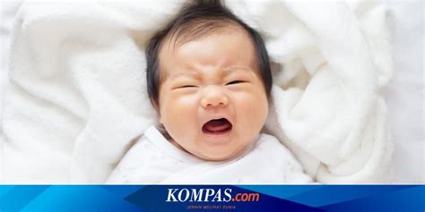 Kelainan ginjal pada bayi biasanya disebabkan oleh beberapa faktor. Waspadai 7 Jenis Kelainan Penis pada Bayi Laki-laki ...