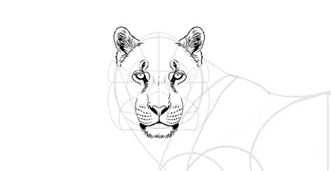 In this section, i will show you how to draw animals made mostly from basic squares and rectangles. How to Draw a Tiger