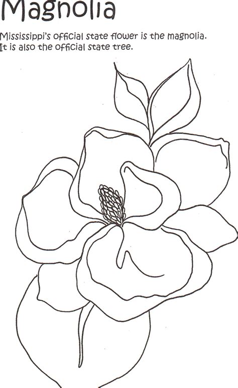 Pattern coloring pages for girls coloring books embroidery crafts umbrella girl. Magnolia Coloring Page at GetColorings.com | Free ...