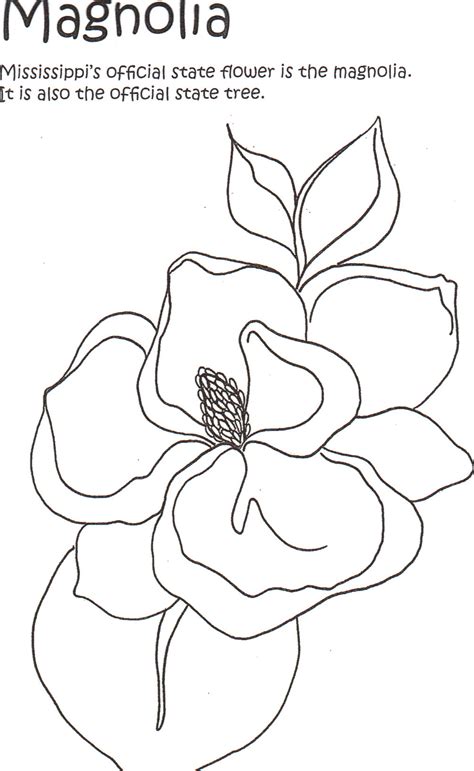 We have a nice collection of pages for you to color with a may theme. Magnolia Coloring Page at GetColorings.com | Free ...