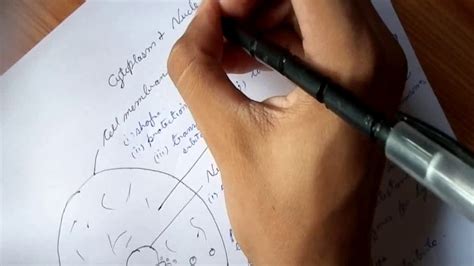 Check spelling or type a new query. Animal Cell Structure ( Hindi ) - YouTube