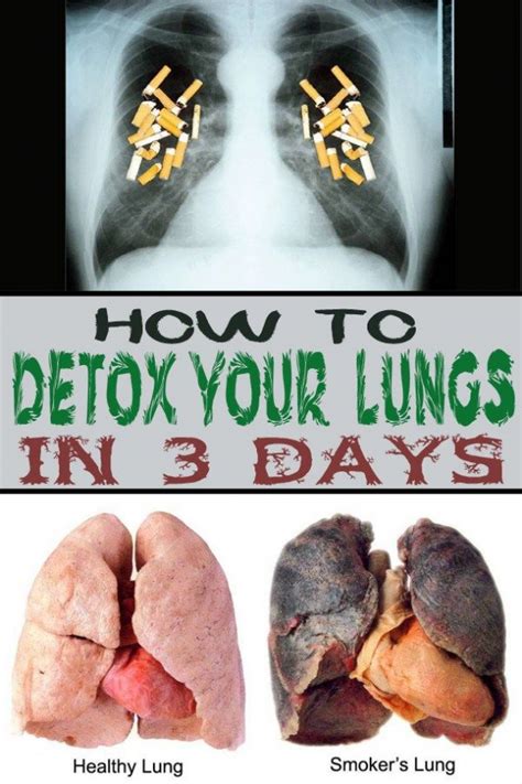 It will remove all bacteria from the lungs that cause infections. How to detox your lungs in 3 days - Beauty Glamour # ...