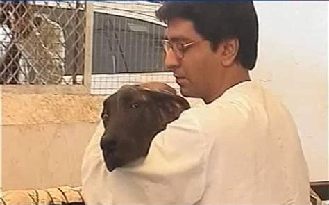 The incident took place minutes before the mns chief was to hold a press conference. Raj Thackeray's wife gets 65 stitches after pet dog bites ...