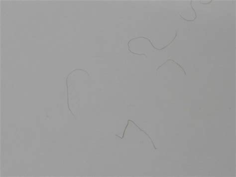 The hair growth cycle also explains why once hair starts growing in, some of them are longer than others. Why does Pubic Hair Get Everywhere | HubPages