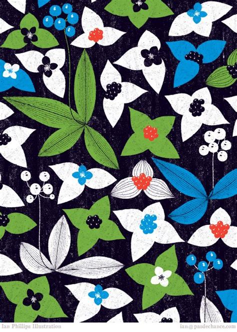 Bunchberry and Clintonia beautifully imagined and illustrated | Pattern ...