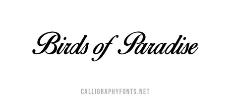 Check font license and view font details, character map, custom preview, comments, reviews, file contents and more. Birds of Paradise Free Script calligraphy font ...