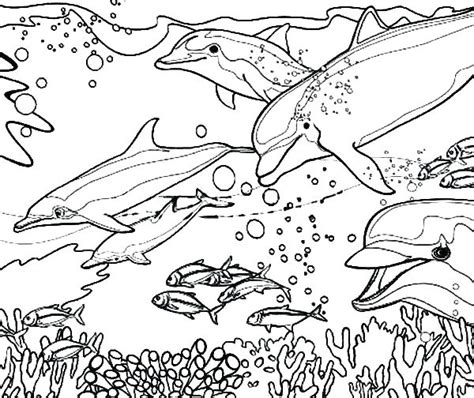 The primary colors of the miami dolphins can be found in the table below. Miami Dolphins Coloring Pages at GetColorings.com | Free ...