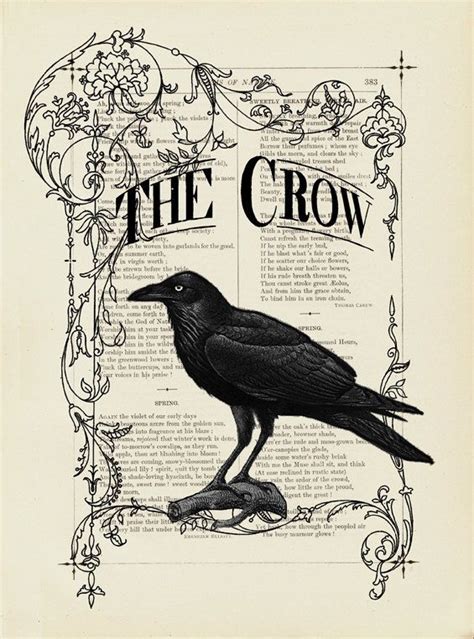 The raven the works of the late edgar allan poe, vol. THE CROW | Crow, Crow art, Raven art