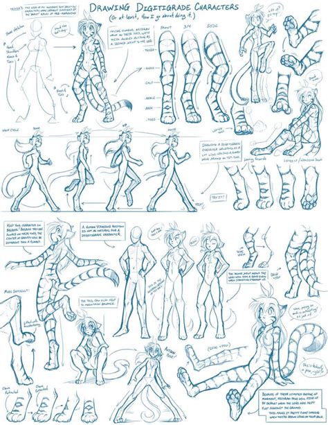 3d drawings animal drawings drawing animals drawing reference poses design reference dessin my little pony furry. Tkturials - Digitigrade Legs Guide by Twokinds | Drawing tutorial, Furry reference, Furry tutorial