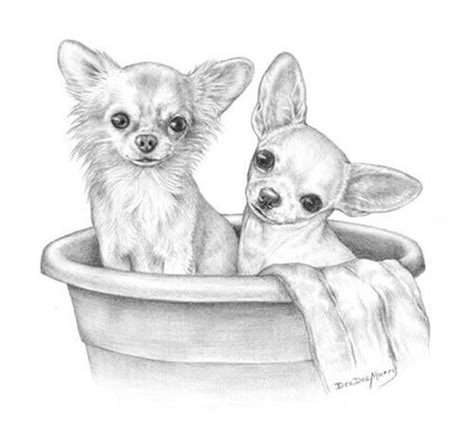 Wesenitztaler landbote pdf free download. dessin de chien chihuahua - Les dessins et coloriage