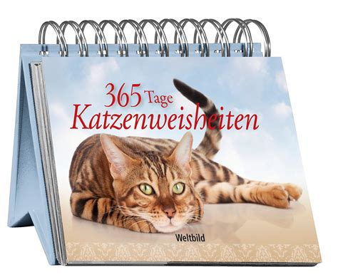 Die letzten tage ging es mir nicht gut, weil ich mich schlecht gefühlt hab, dass ich die meiste zeit nichts sinnvolles gemacht habe. 365 Tage Katzenweisheiten - Buch als Weltbild-Ausgabe kaufen