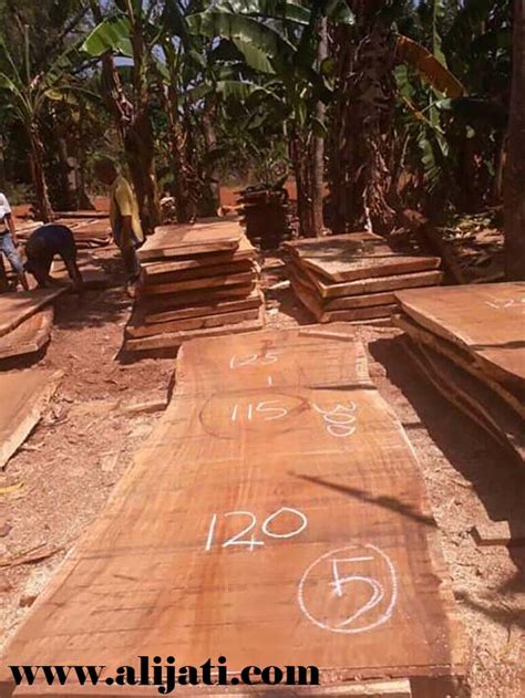 Tak di ragukan lagi kualitasnya, kayu jati perhutani memang istimewa untuk sebuah porduk, termasuk pintu gapura ini, membuat tampilannya begitu mewah dan megah. papan kayu jati perhutani langka