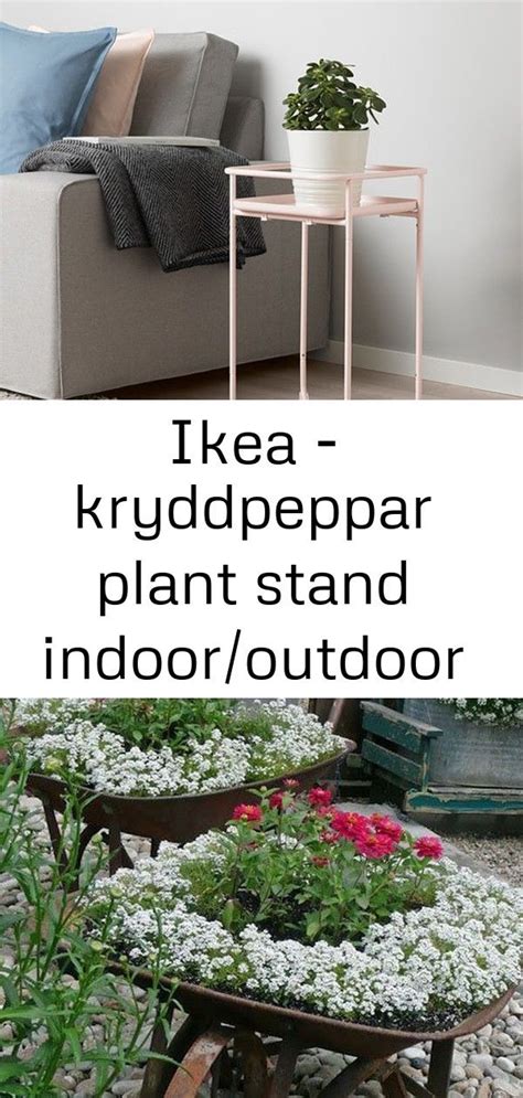 Save with 18 ikea canada coupons and promo codes for may 2021. Ikea - kryddpeppar plant stand indoor/outdoor pink 3 ...