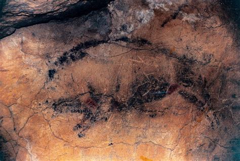 Пещера Альтамира в Испании. Наскальная живопись каменного века.
