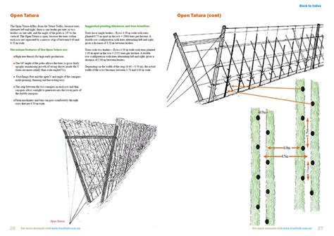 Performing better than the pyramid preliminary economic analysis showing. Orchard manual on high density peach and nectarine systems