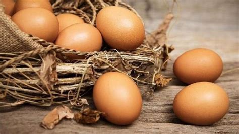 Ada yang kecil seperti ayam kate dan telur yang besar seperti telur ayam kalkun. Kenali Telur Infertil, Dilarang Pemerintah Tapi Banyak ...