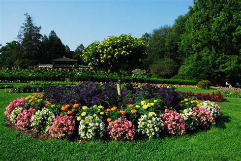 It's fresh flowers friday at the garmany visitor center in elizabeth park! Elizabeth Park, Hartford, CT | Hartford, Park, Plants