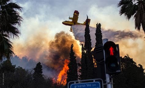 Jun 09, 2021 · חשד להצתות: שריפות זכרון יעקב - Bokepter