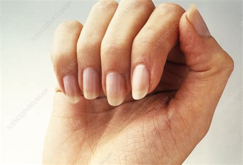 Woman's hand - Stock Image - P701/0179 - Science Photo Library