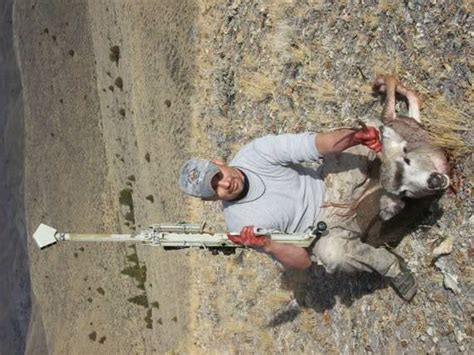 Whistinlin diesel, otherwise know as cody detweiler, was shooting a rifle at some metal plates. What damage does a .50 BMG do on animals? | Sniper's Hide ...