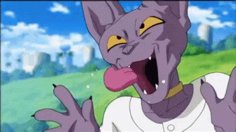Once by his brother, beerus, and the other by the two xeno's for the tournament of power. Beerus Lick GIF - Beerus Lick Dbs - Discover & Share GIFs