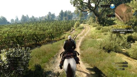 If you prove him wrong he'll provide you with a helpful tip. 7 tips for The Witcher 3: Hearts of Stone - VG247