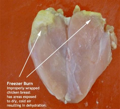 Raw chicken that has gone bad has a very. Freezer Burn Is it Safe to Eat? | HubPages